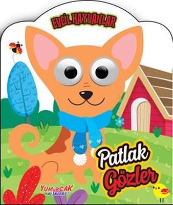 Patlak Gözler - Evcil Hayvanlar | Yumurcak Yayınları