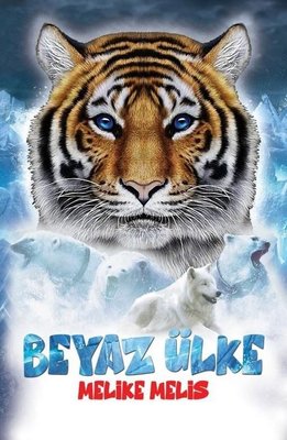 Beyaz Ülke | Mahzen