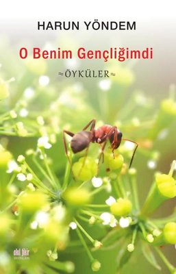 O Benim Gençliğimdi - Öyküler | Akıl Fikir Yayınları