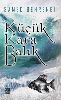 Küçük Kara Balık | Can Çocuk Yayınları