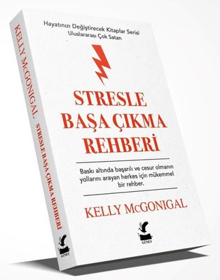 Stresle Başa Çıkma Rehberi - Hayatınızı Değiştirecek Kitaplar Serisi | Güney Kitap