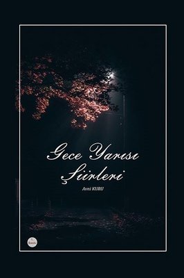 Gece Yarısı Şiirleri | Ritim Sanat Yayınları