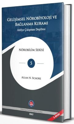 Gelişimsel Nörobiyoloji ve Bağlanma Kuramı - Atölye Çalışması Deşifresi | Psikoterapi Enstitüsü