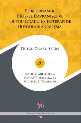 Psikodinamik, Bilişsel Davranışçı ve Duygu Odaklı Psikoterapide Duygularla Çalışma - Duygu Odaklı Serisi | Psikoterapi Enstitüsü