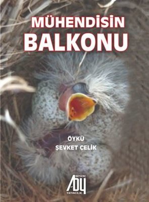 Mühendisin Balkonu | Baygenç Yayıncılık