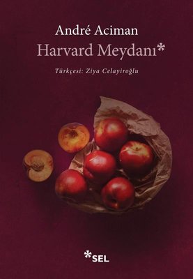 Harvard Meydanı | Sel Yayıncılık (İnce Kapak)