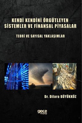 Kendi Kendini Örgütleyen Sistemler ve Finansal Piyasalar: Teori ve Sayısal Yaklaşımlar | Gece Kitaplığı (İnce Kapak)