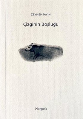 Çizginin Boşluğu | Norgunk Yayıncılık (İnce Kapak )