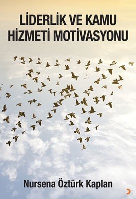 Liderlik ve Kamu Hizmeti Motivasyonu | Cinius (İnce Kapak )