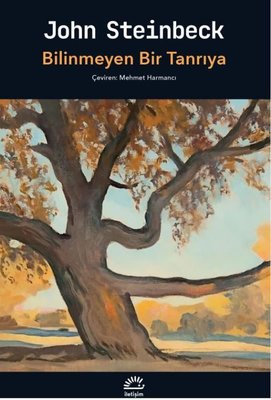 Bilinmeyen Bir Tanrıya | İletişim Yayınları (İnce Kapak )