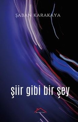 Şiir Gibi Bir Şey | Kırmızı Çatı (İnce Kapak)