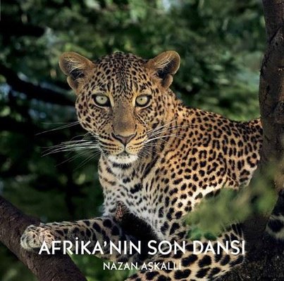 Afrika'nın Son Dansı | Karakarga (Ciltli)