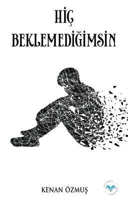 Hiç Beklemediğimsin | Ludena Yayınları (İnce Kapak)