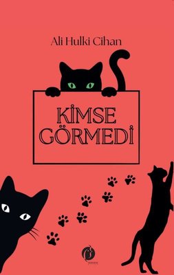 Kimse Görmedi | Herdem Kitap (İnce Kapak)
