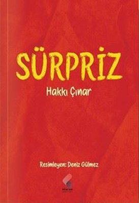 Sürpriz | Hakkı Çınar (İnce Kapak)