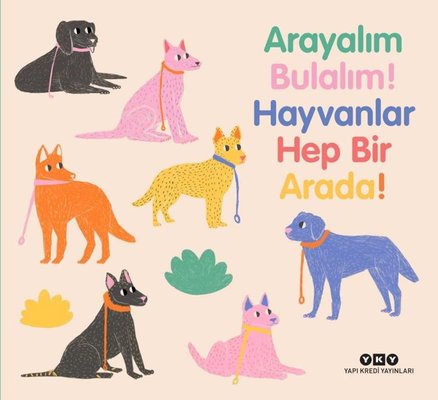 Arayalım Bulalım! Hayvanlar Hep Bir Arada! | Yapı Kredi Yayınları (Ciltli)