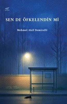 Sen de Öfkelendin mi | Uzam Yayınları (İnce Kapak)