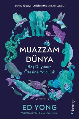 Muazzam Dünya: Beş Duyunun Ötesine Yolculuk | Domingo Yayınevi