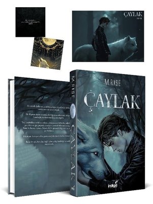 Çaylak |İndigo Kitap (Ciltli)