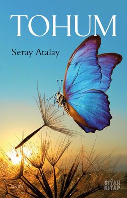 Tohum | Siyah Kitap (İnce Kapak)