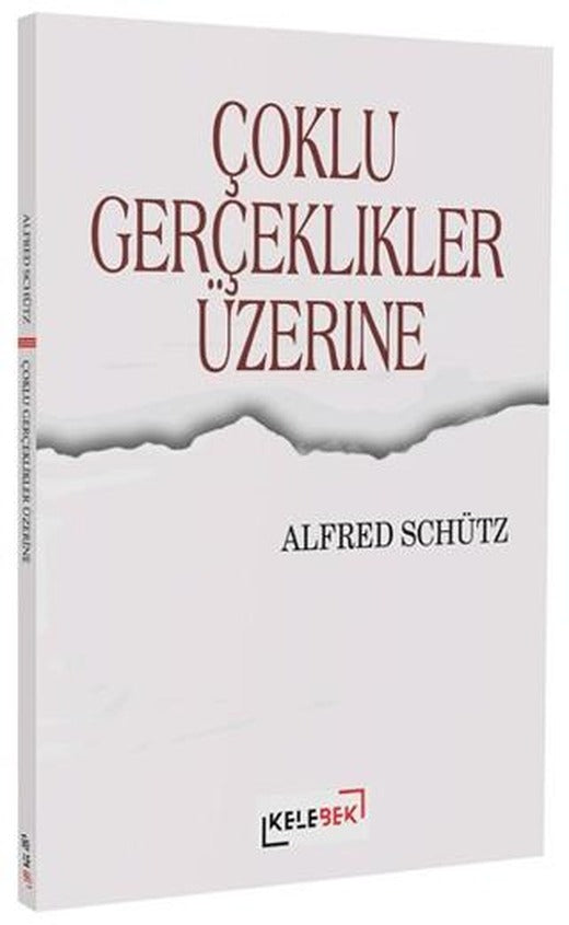 Çoklu Gerçeklikler Üzerine