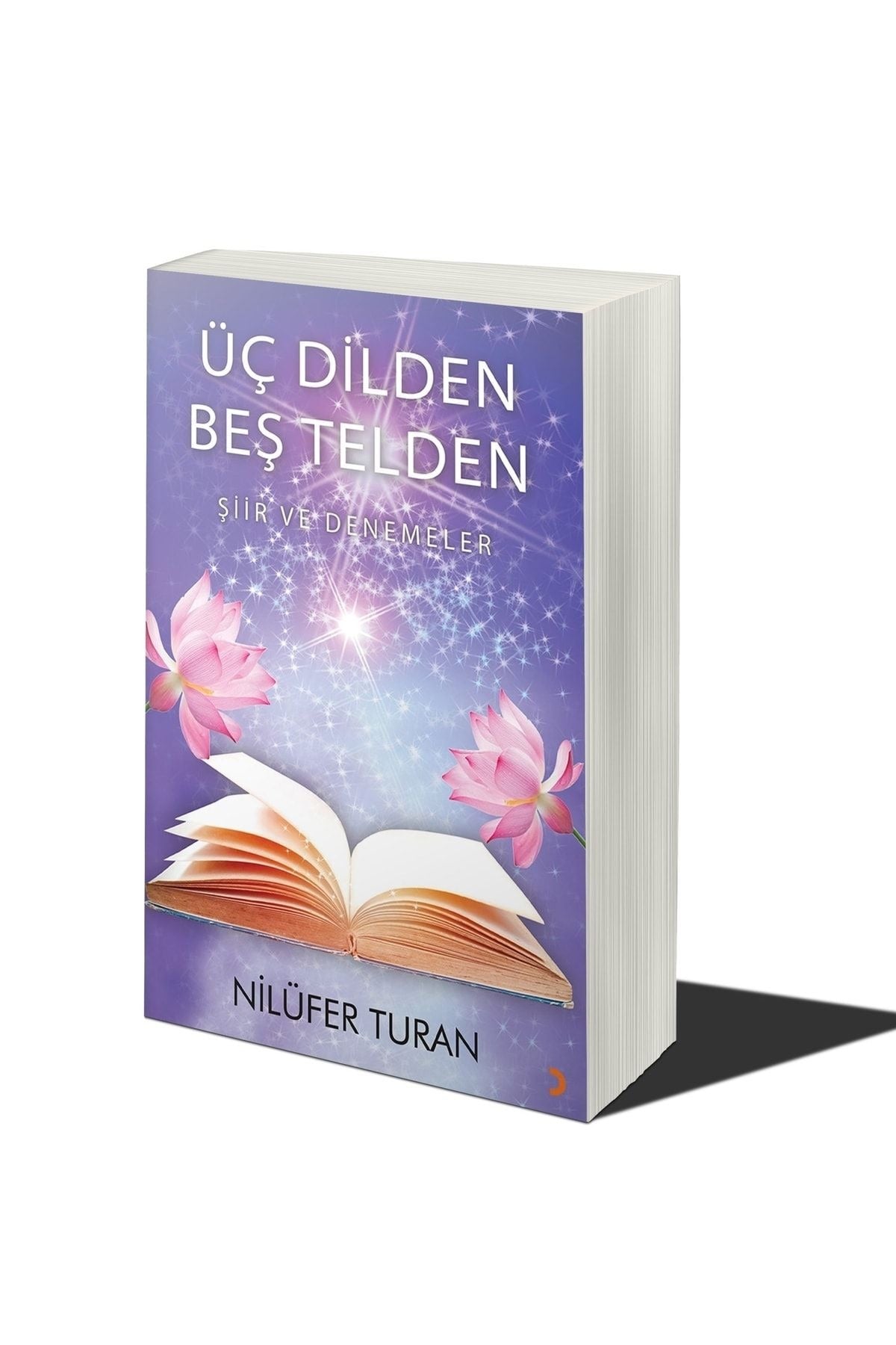 Üç Dilden Beş Telden