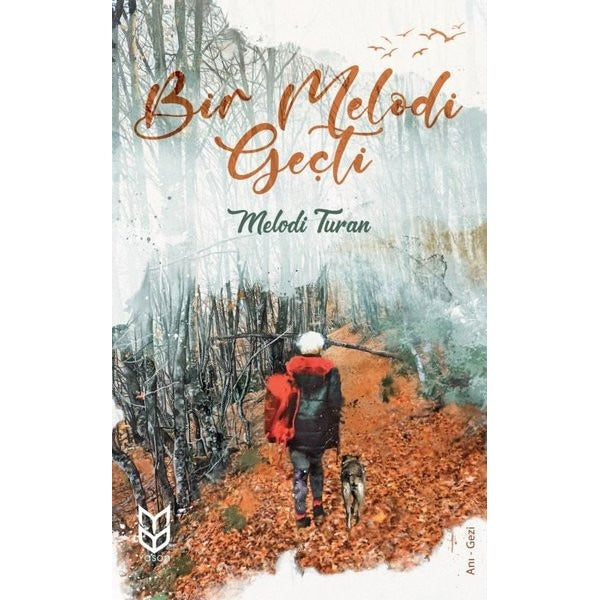Bir Melodi Geçti | Yason Yayıncılık (İnce Kapak)