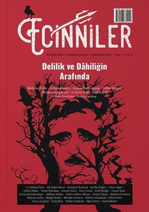 Ecinniler: İki Aylık Kültür ve Edebiyat Dergisi Sayı: 7 Delilik ve Dahiliğin Arafında Ocak - Şubat 2021 | Sardes Yayınları (Ciltsiz)