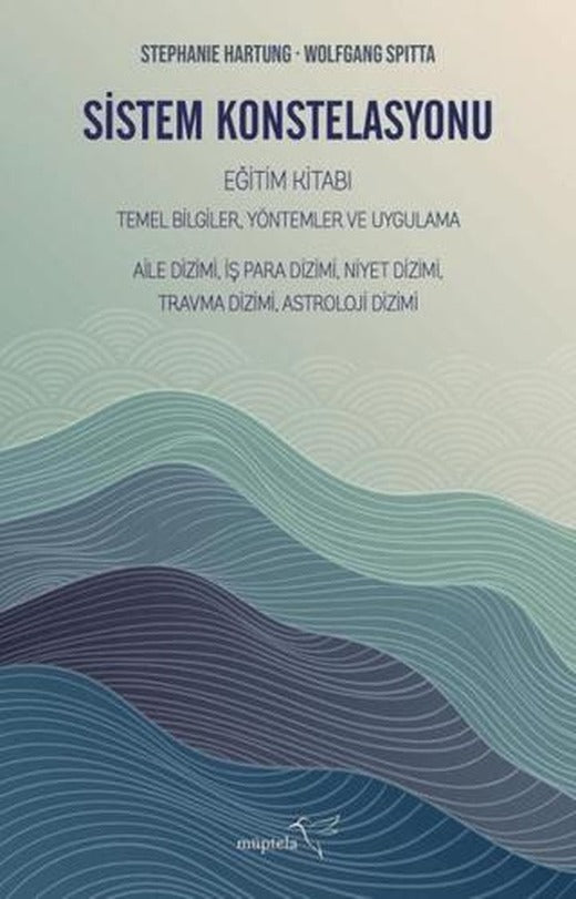 Sistem Konstelasyonu Eğitim Kitabı
