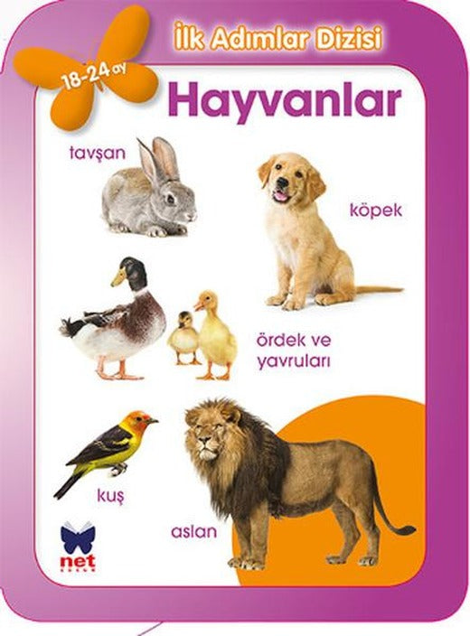 Hayvanlar (18-24 Ay) | Net Çocuk Yayınları - İlk Adımlar Dizisi (İnce Kapak)