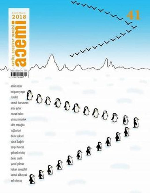 Acemi Aktüel Edebiyat Dergisi Sayı 41 | Acemi Dergisi (Ciltsiz)