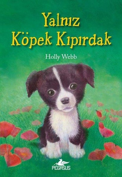 Yalnız Köpek Kıpırdak | Pegasus (İnce Kapak)