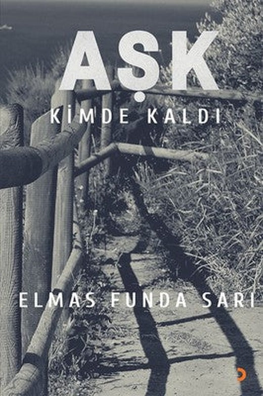 Aşk Kimde Kaldı | Cinius