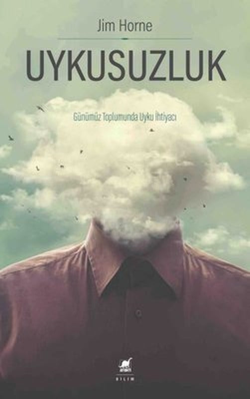 Uykusuzluk | Ayrıntı Yayınları