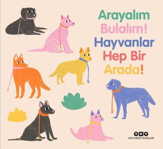 Arayalım Bulalım! Hayvanlar Hep Bir Arada! | Yapı Kredi Yayınları (Ciltli)