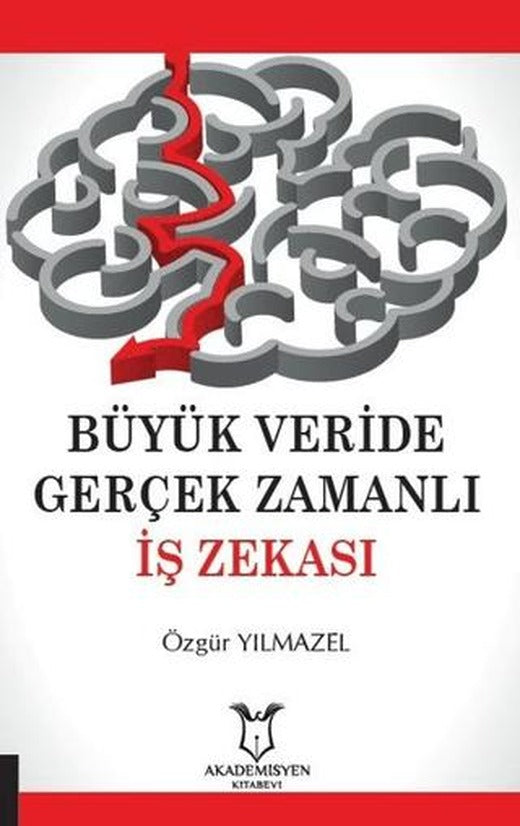 Büyük Veride Gerçek Zamanlı İş Zekası | Akademisyen Kitabevi (Ciltsiz)