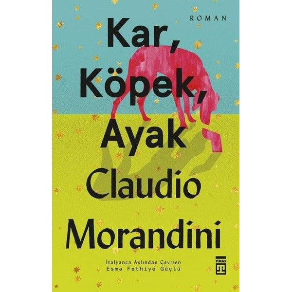 Kar Köpek Ayak | Timaş Yayınları