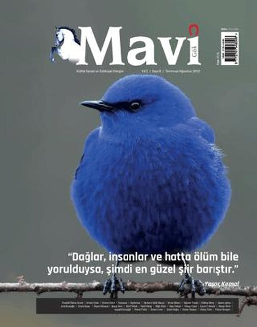 Mavi Gök Kültür Sanat Edebiyat Dergisi Sayı: 8 Temmuz - Ağustos 2022 | Mavi Gök Dergisi Yayınları (Ciltsiz)