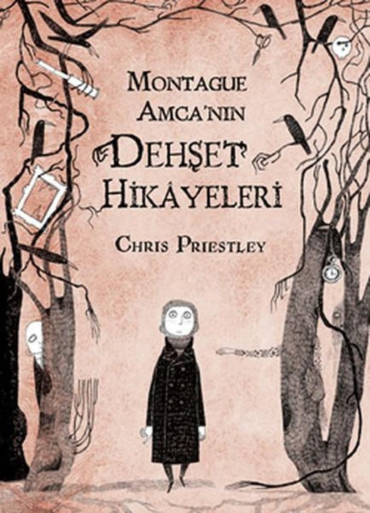 Montague Amca'nın Dehşet Hikayeleri | Tudem Yayınları - Roman Dizisi (İnce Kapak)