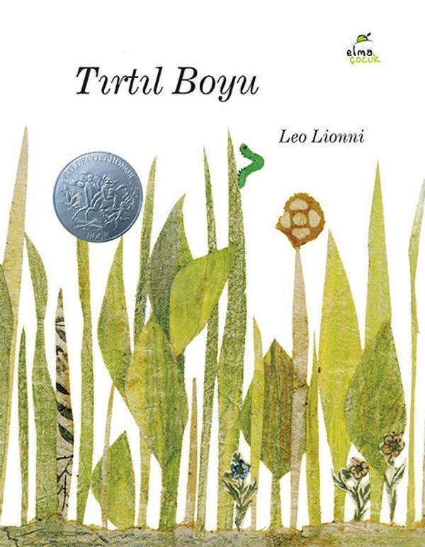 Tırtıl Boyu | Elma Yayınevi