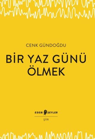 Bir Yaz Günü Ölmek | Edebi Şeyler (Ciltsiz) - Resim 1