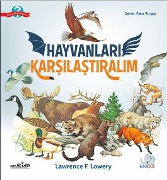 Hayvanları Karşılaştıralım | Nobel Çocuk