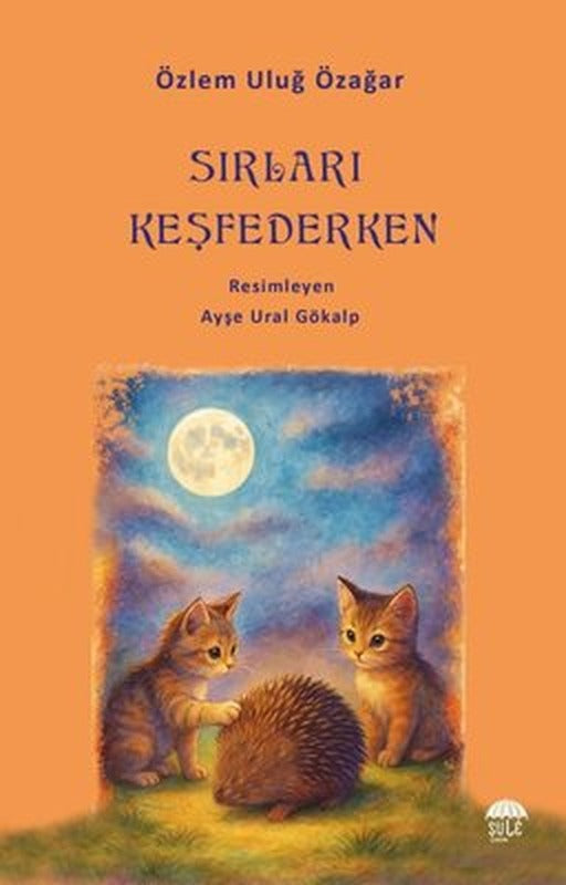 Sırları Keşfederken | Şule Yayınları (İnce Kapak)