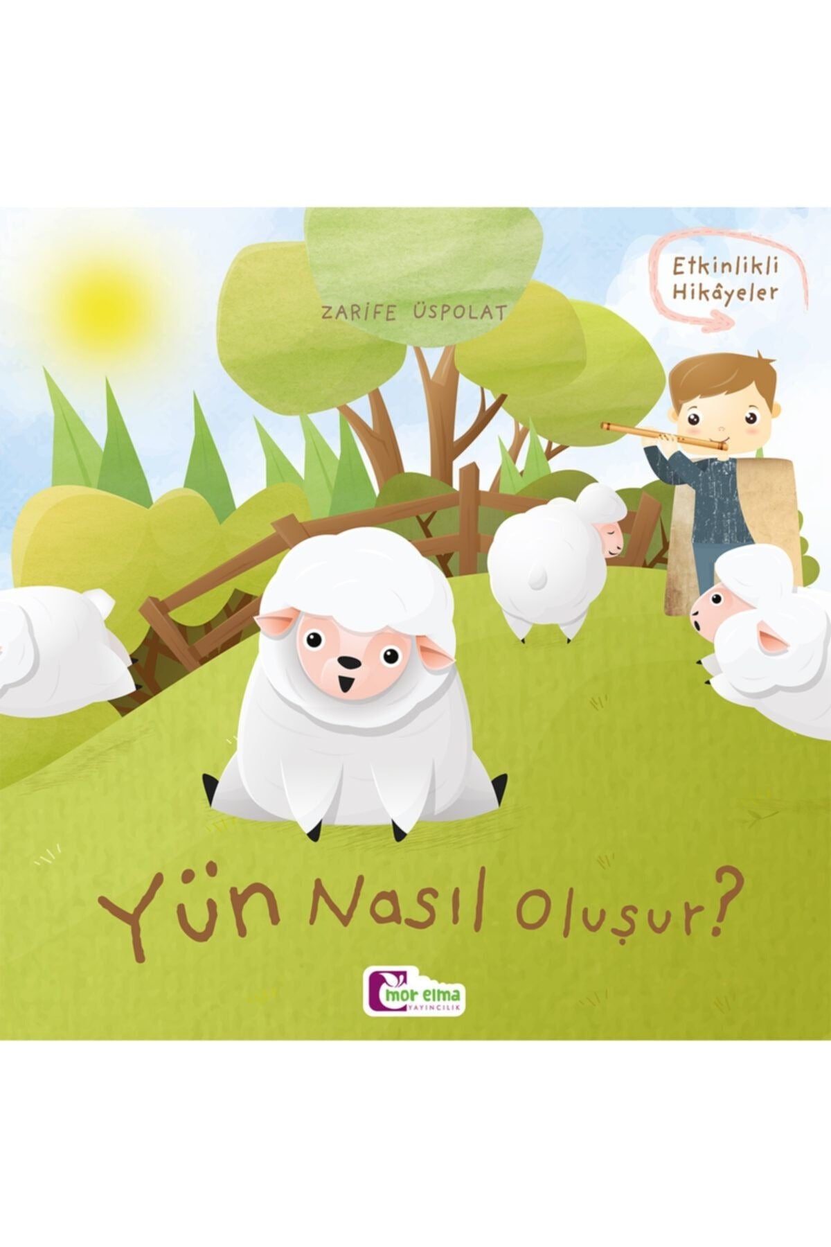 Yün Nasıl Oluşur?