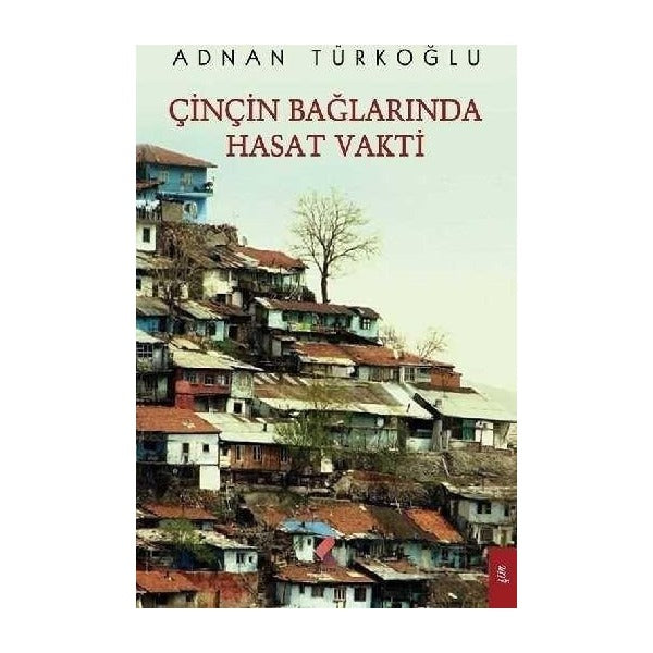 Çinçin Bağlarında Hasat Vakti