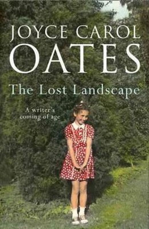 The Lost Landscape | Fourth Estate