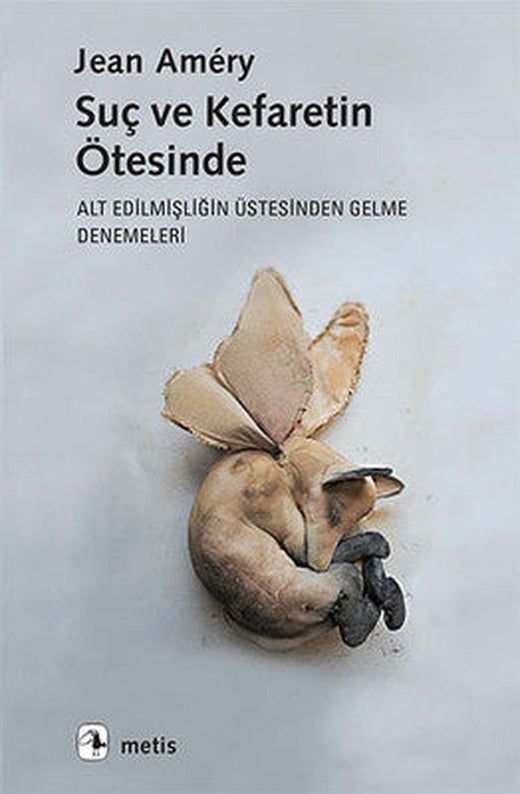 Suç ve Kefaretin Ötesinde | Metis Yayınları