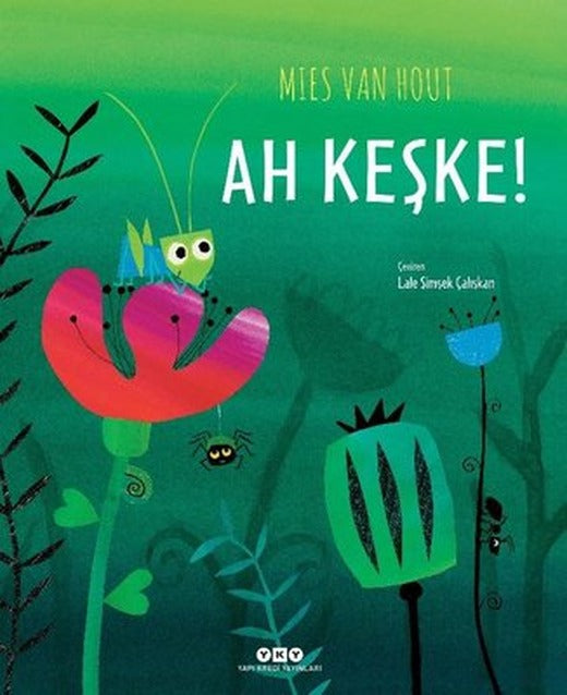 Ah Keşke! | Yapı Kredi Yayınları (İnce Kapak)
