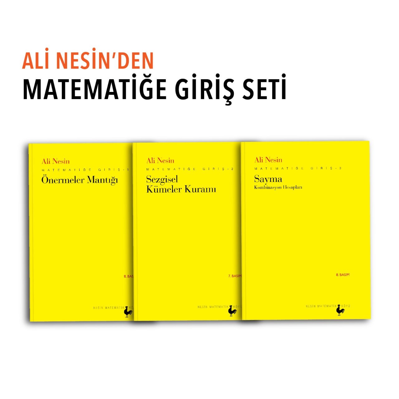 Ali Nesin’den Matematiğe Giriş Seti | Nesin Yayınevi (Ciltsiz)