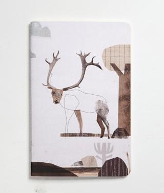 Nesin Defter - Geyik | Nesin Yayınevi - Resim 1